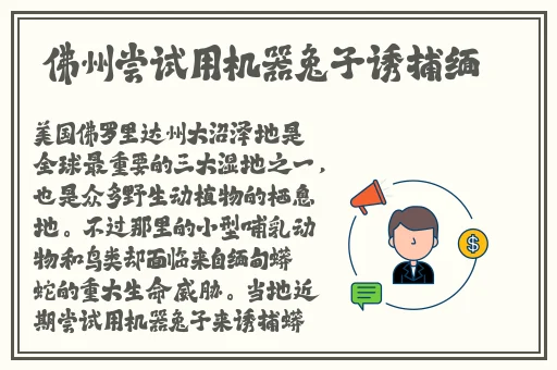 草莓丝瓜榴莲秋葵黄瓜丝
